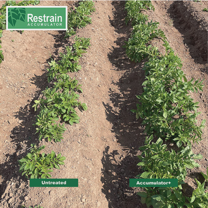 Restrain Banner Social Media 4