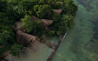 Why Your Instagram Strategy Should Look Nothing Like Your LinkedIn Strategy